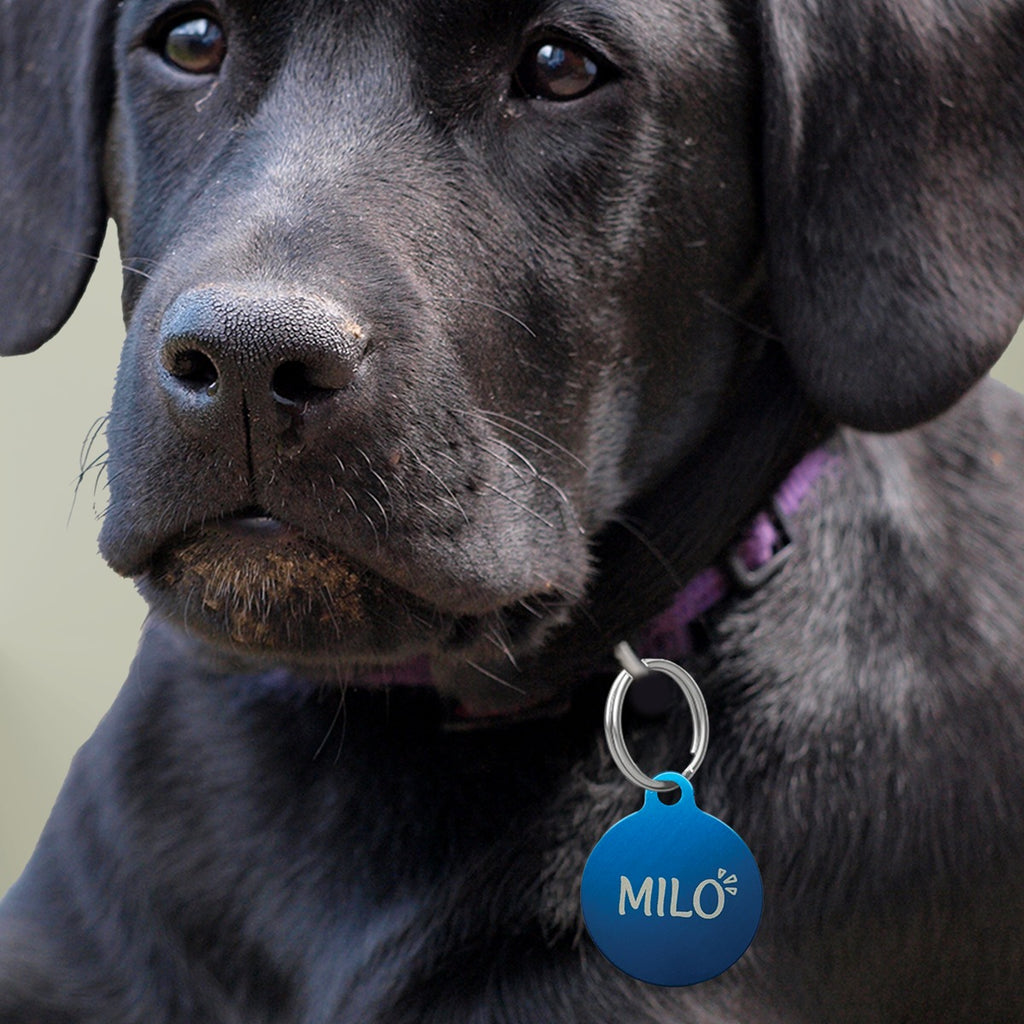 Engraved Dog & Cat ID Tag - Custom Name and Phone Number