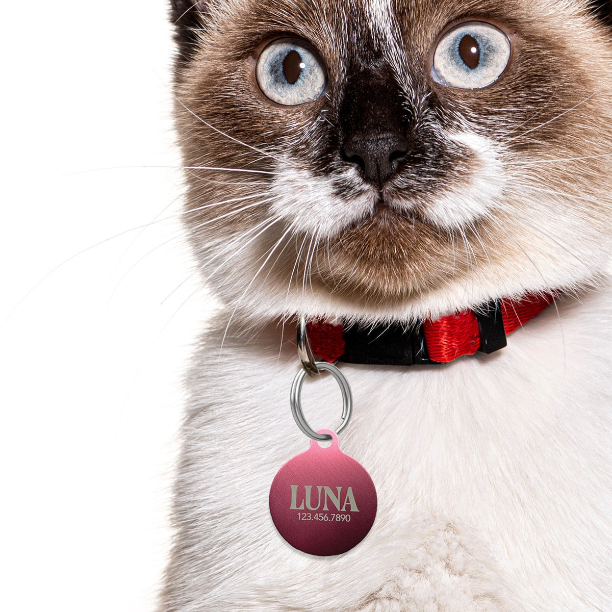 Engraved Dog & Cat ID Tag - Custom Name and Phone Number