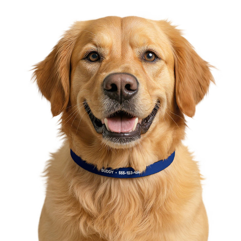 Personalized Dog Collar with Name and Phone Number